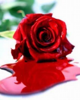 MA ROSE